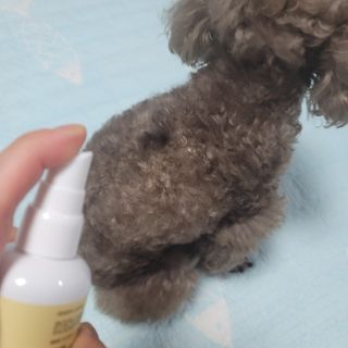 나초단맘님이 올린 리뷰 사진 1