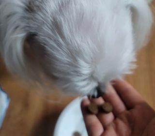 구름님이 올린 리뷰 사진 1