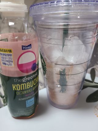 더그레잇티 콤부차 [매일유업] 더그레잇티 44kcal 콤부차 300ml *12개입 (오리지널 6개+베리리치 6개) — 5점을 준 리뷰어가 2023년 7월 올린 사용 사진