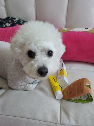동이님이 올린 리뷰 사진 3