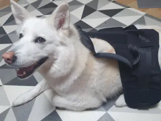 딸랑구둘🥰님이 올린 리뷰 사진 1