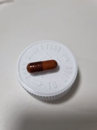 프리마인 홍삼의 강력한 에너지, 이제는 흡수율을 높인 최첨단 캡슐로 간편하게 초고속 충전하세요. — 5점을 준 리뷰어가 2022년 3월 올린 사용 사진