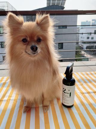 철부지개엄마님이 올린 리뷰 사진 2