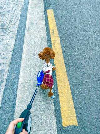 베이컨박스 [BACON] 고아웃클럽 산책 안전벨트 — 5점을 준 리뷰어가 2021년 2월 올린 사용 사진