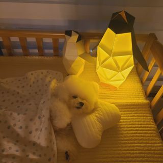 [폴리곤즈] 허들린 패밀리 DIY 블록 세트 (허들린 펭귄 블록+미니허들린 펭귄 블록) — 5점을 준 리뷰어가 2022년 4월 올린 사용 사진