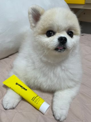 이제트님이 올린 리뷰 사진 1