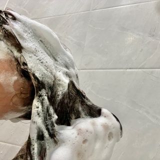윤눙이님이 올린 리뷰 사진 2