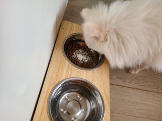 튼튼보이맘님이 올린 리뷰 사진 4