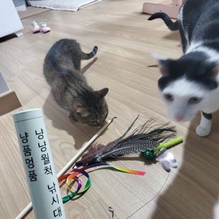 프랑프랑애드님이 올린 리뷰 사진 3