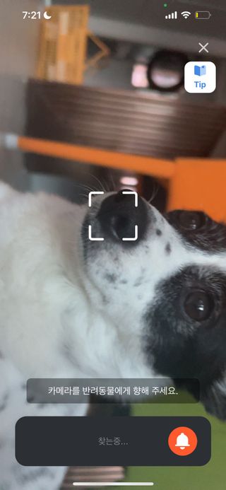 토리님이 올린 리뷰 사진 2