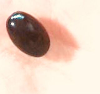 파이리이님이 올린 리뷰 사진 2