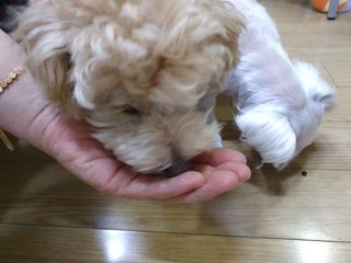 끌랑님이 올린 리뷰 사진 3