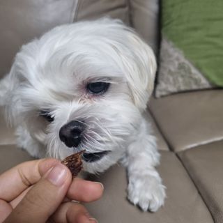 DG님이 올린 리뷰 사진 3