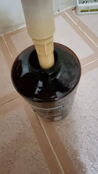이영실님이 올린 리뷰 사진 1
