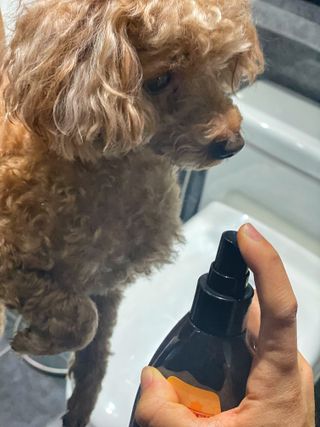 minji님이 올린 리뷰 사진 3