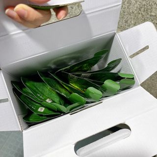 왕쟈림님이 올린 리뷰 사진 3