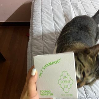다니당근님이 올린 리뷰 사진 3