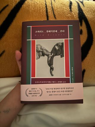 Bella님이 올린 리뷰 사진 1