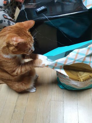 나이스님이 올린 리뷰 사진 3