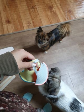 루비셀러님이 올린 리뷰 사진 2