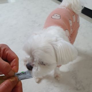 hosu.1230님이 올린 리뷰 사진 1