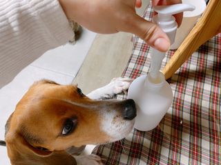 cobemom님이 올린 리뷰 사진 1