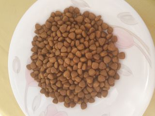 꽁남쓰님이 올린 리뷰 사진 1