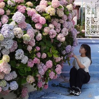 더그린랩 WOMEN TWIST MODAL SHORT SLEEVE — 3.5점을 준 리뷰어가 2023년 6월 올린 사용 사진