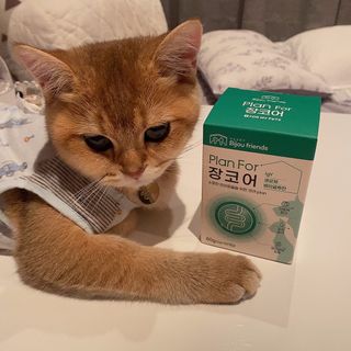백설님이 올린 리뷰 사진 1