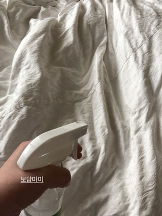 쓰담쓰담님이 올린 리뷰 사진 2