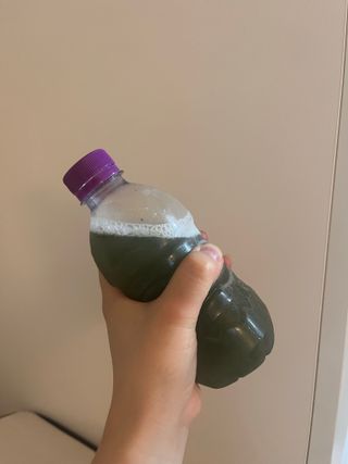 몽베스트 [MONTBEST] 330mL 20병 — 5점을 준 리뷰어가 2023년 8월 올린 사용 사진