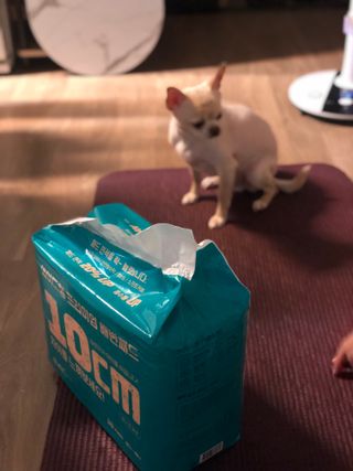 아베크 펫 와이드 프리미엄 대형 애견 강아지 배변 패드 30매 1팩 80g — 5점을 준 리뷰어가 2021년 7월 올린 사용 사진