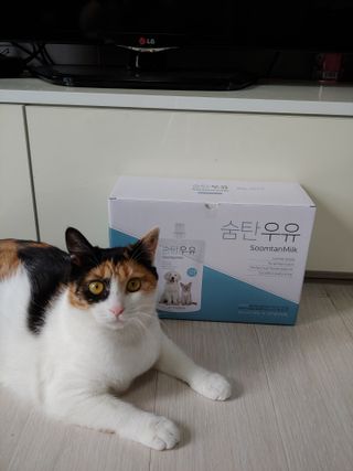 홍제이님이 올린 리뷰 사진 1