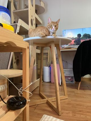오잉님이 올린 리뷰 사진 4