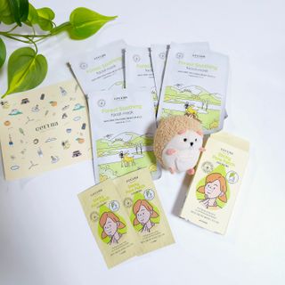 세뚜아(Cettua) 세뚜아 스티키 포어 패치 Cettua Sticky Pore Patch — 5점을 준 리뷰어가 2023년 7월 올린 사용 사진