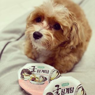 칸쵸님이 올린 리뷰 사진 3