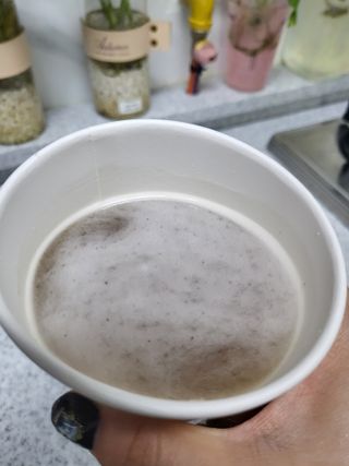 담이어멍님이 올린 리뷰 사진 3