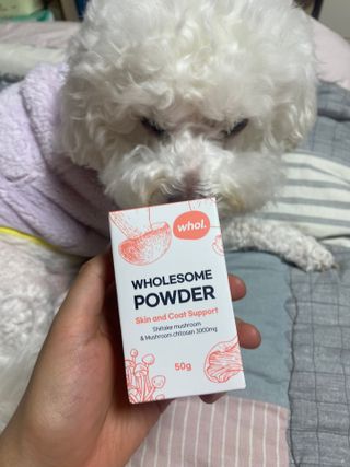 갱스님이 올린 리뷰 사진 1