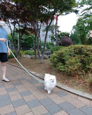리디아은서님이 올린 리뷰 사진 1