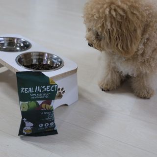 [푸디웜] 라포그  리얼인섹트 웨이트밸런스 저알러지 강아지 사료  1.2KG — 4점을 준 리뷰어가 2021년 7월 올린 사용 사진
