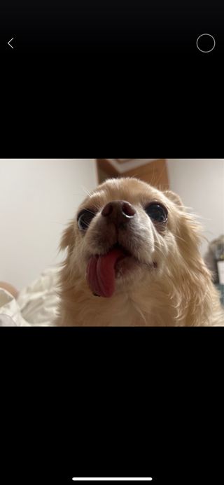 Lucy님이 올린 리뷰 사진 1