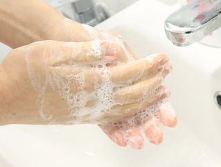 오코리타님이 올린 리뷰 사진 4
