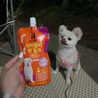 쏘피님이 올린 리뷰 사진 2
