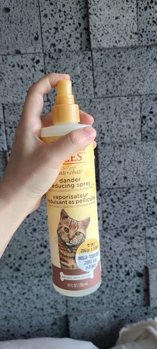 논지님이 올린 리뷰 사진 2