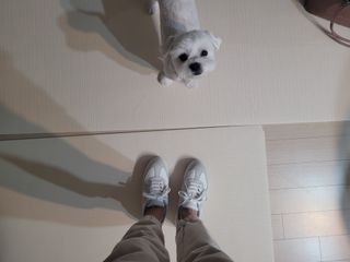 쏘이님이 올린 리뷰 사진 2