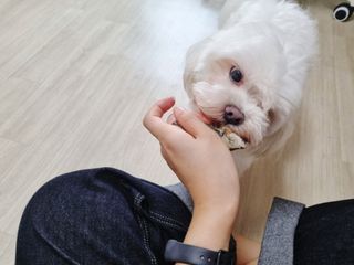 노지혜님이 올린 리뷰 사진 1