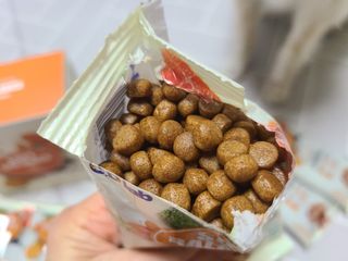 씨디랩 속이 편한 강아지 사료 소프트발란스 기호성 좋은 발효사료 피부와 위장 관절과 위장 — 5점을 준 리뷰어가 2021년 3월 올린 사용 사진