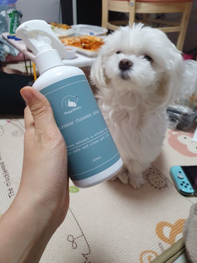 펫 프레시 클리너 스프레이 리뷰 사진
