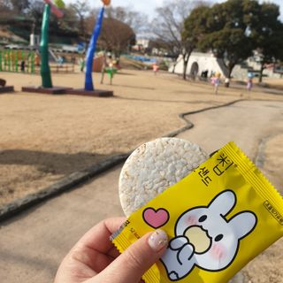 네이처오다 달칩 초코샌드 — 5점을 준 리뷰어가 2021년 1월 올린 사용 사진