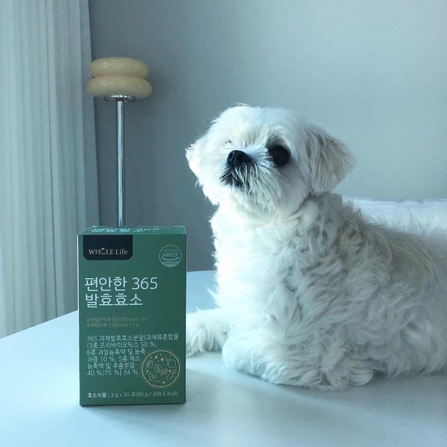 홀라이프 편안한 365 발효효소 30포 x 1박스 리뷰 사진